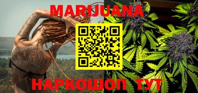 сатива Рязань