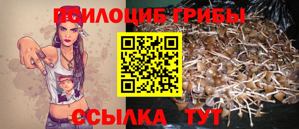 Псилоцибиновые грибы MAGIC MUSHROOMS Кондопога